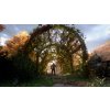 A Plague Tale Bundle (PC) Steam Key