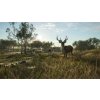 theHunter: Call of the Wild - Emerald Coast Australia DLC (PC) Steam Key