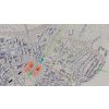 Cities: Skylines - City Startup Bundle (PC) Steam Key