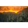 The Long Dark - Survival Edition (PC) Steam Key