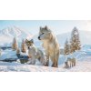 Planet Zoo: Arctic Bundle (PC) Steam Key