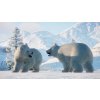 Planet Zoo: Arctic Bundle (PC) Steam Key
