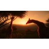 Planet Zoo: Arctic Bundle (PC) Steam Key