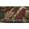 Ancient Warfare: The Han Dynasty (PC) Steam Key