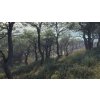 theHunter: Call of the Wild - Parque Fernando DLC (PC) Steam Key