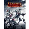 Divinity: Original Sin - Enhanced Edition (PC) GOG.COM Key