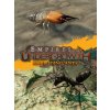 Empires of the Undergrowth - Exploding Ants (PC) Steam Key