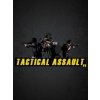 Tactical Assault VR (PC) Steam Key