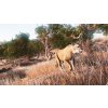 Hunting Simulator (PC) Steam Key