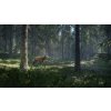 theHunter: Call of the Wild XONE Xbox Live Key