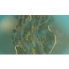 Cities: Skylines - Content Creator Pack: Map Pack DLC (PC) Steam Key