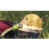 SWITCH Xenoblade Chronicles: Definitive Edition