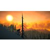 The Long Dark (PC) Steam Key