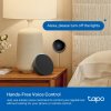 TP-Link Tapo H110 Smart Iot & IR Hub