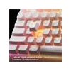 SteelSeries Apex 3 TKL US