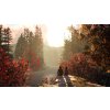Life is Strange 2 Complete Season (PC) Steam Key