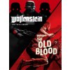 Wolfenstein: The Two Pack (PC) Steam Key