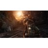 Tomb Raider Survival Edition (PC) Steam Key