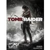 Tomb Raider Survival Edition (PC) Steam Key