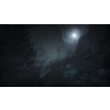 Outlast 2 (PC) GOG.COM Key