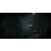 Outlast 2 (PC) GOG.COM Key