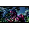 Skull Island: Rise of Kong - Colossal Edition (PC) Steam Key