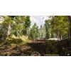 Forest Ranger Simulator (PC) Steam Key