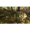 Forest Ranger Simulator (PC) Steam Key