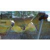Zoo Simulator (PC) Steam Key