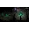 Pillars of Eternity - Definitive Edition (PC) Steam Key