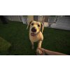 Pets Hotel (PC) Steam Key