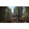 Call of the Wild Bundle (PC) Steam Key