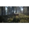 Call of the Wild Bundle (PC) Steam Key