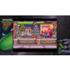 Teenage Mutant Ninja Turtles: The Cowabunga Collection (PC) Steam Key