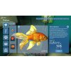 Aquarist (PC) Steam Key