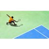 Tennis World Tour - ROLAND-GARROS EDITION (PC) Steam Key