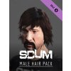 SCUM Male Hair Pack (PC) Steam Key