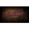 Planescape: Torment: Enhanced Edition (PC) GOG.COM Key