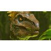ARK: Survival Ascended (XSX/S, PC) Xbox Live Key