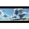 Microsoft Flight Simulator - Premium Deluxe 40th Anniversary Edition (XSX/S, PC) Xbox Live Key