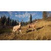 theHunter: Call of the Wild - Greenhorn Bundle (PC) Steam Key