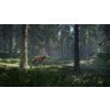 theHunter: Call of the Wild - Greenhorn Bundle (PC) Steam Key