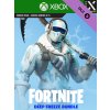 Fortnite Deep Freeze Bundle (XSX/S) Xbox Live Key