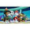 Paw Patrol: On a Roll (SWITCH) Nintendo Key
