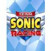 Team Sonic Racing (PC) Steam Key