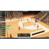 Pro Basketball Manager 2026 (PC) Steam Key