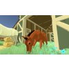 Harvest Days: My Dream Farm (PC) Steam Key