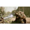 Avowed - Premium Edition (XSX/S, PC) Xbox Live Key