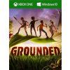 Grounded (XSX/S, PC) Xbox Live Key