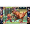 Capcom Fighting Collection 1 + 2 Bundle (PC) Steam Key